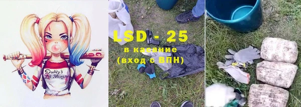 ПСИЛОЦИБИНОВЫЕ ГРИБЫ Баксан