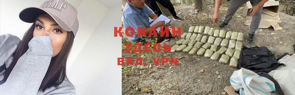 ПСИЛОЦИБИНОВЫЕ ГРИБЫ Баксан