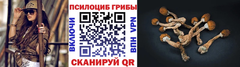 Псилоцибиновые грибы ЛСД  закладки  Безенчук 
